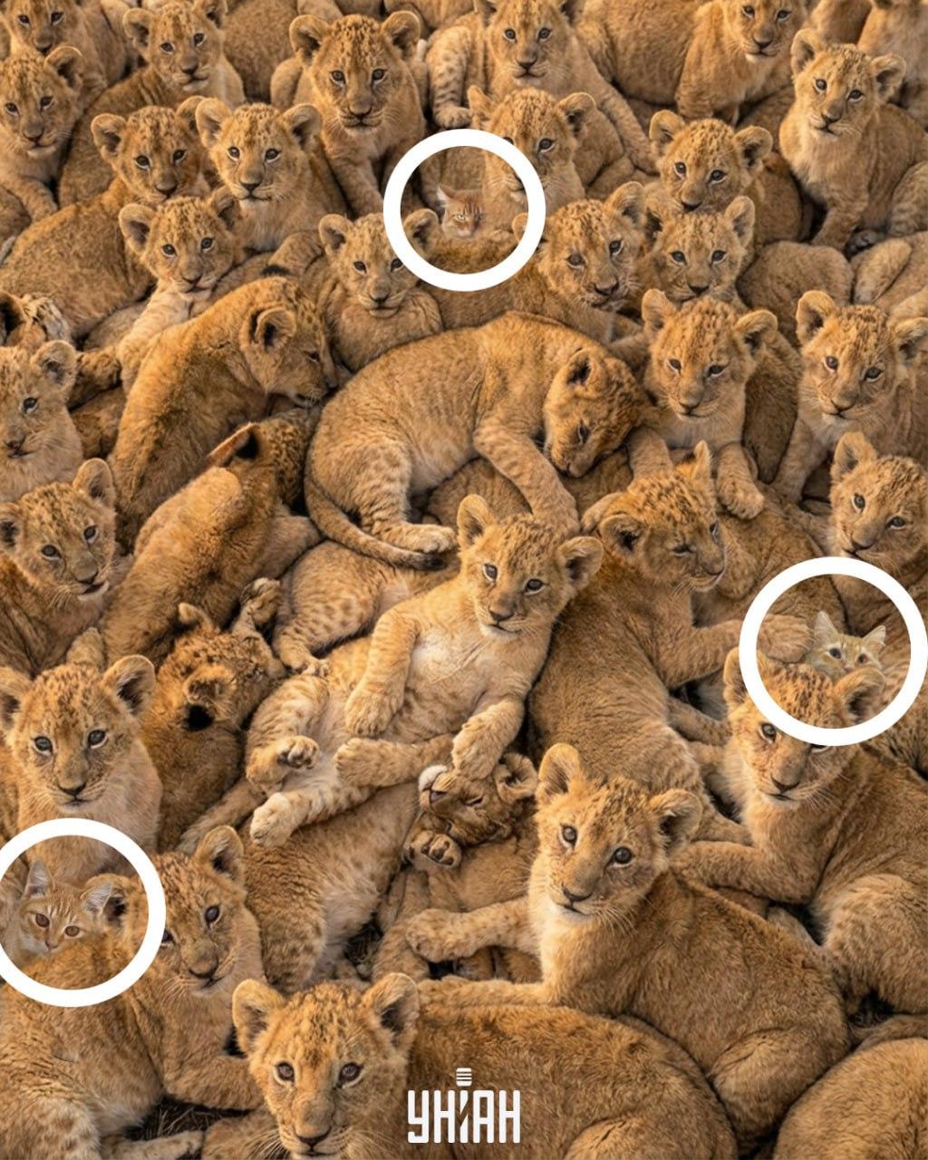 Колаж на Moje