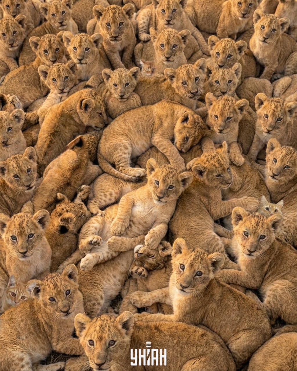 Колаж на Moje